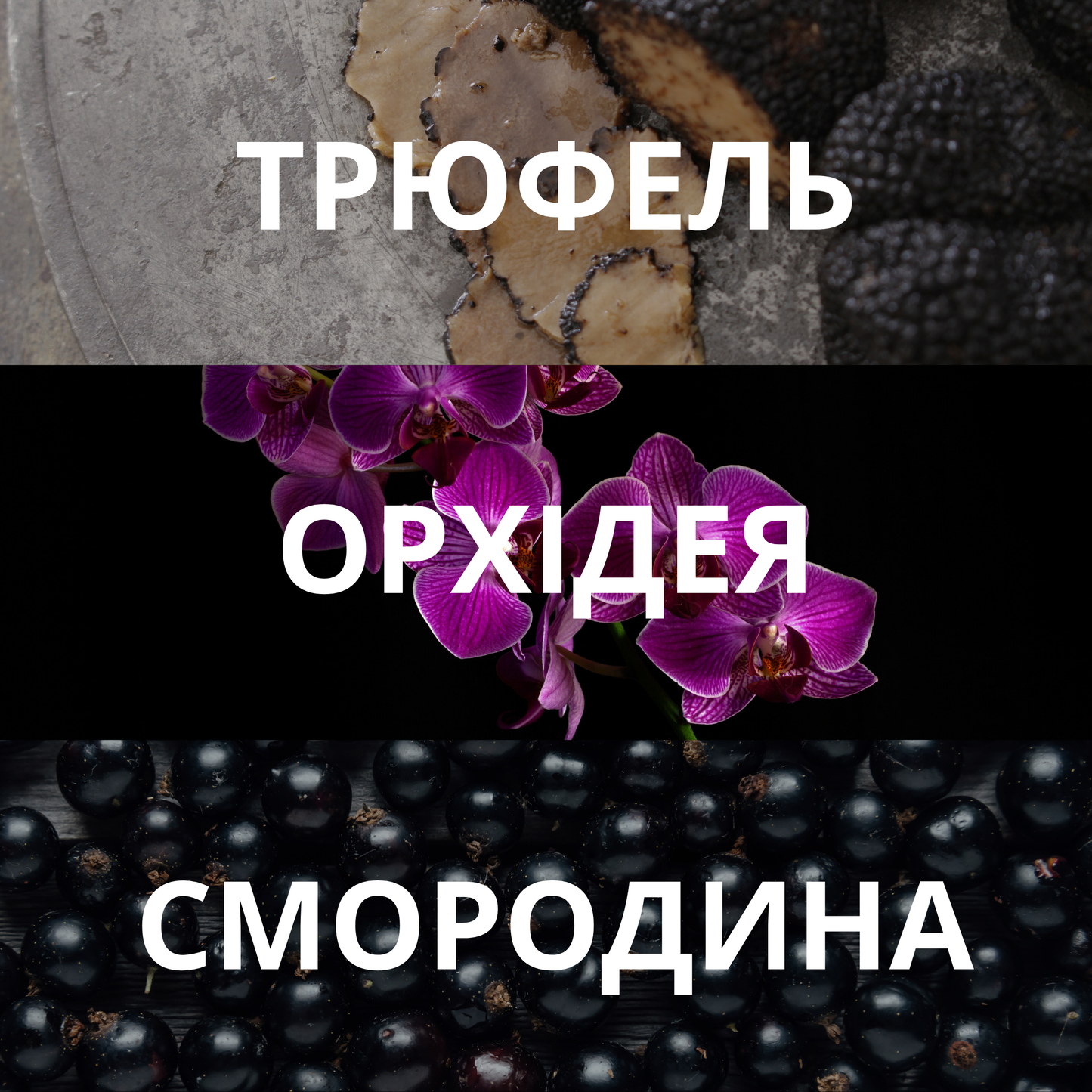 Аромадиффузор COCA COLA