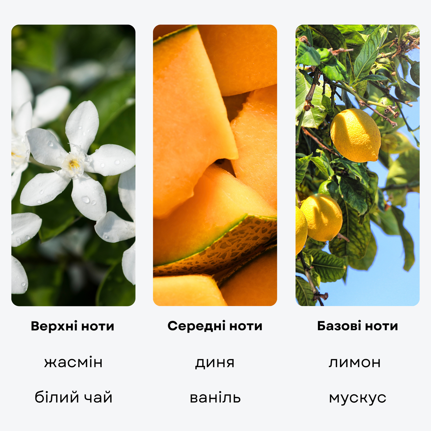 Ароматическая жидкость "LAS VEGAS", 50 мл