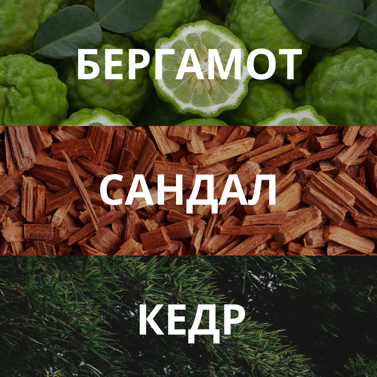Аромадиффузор COCA COLA