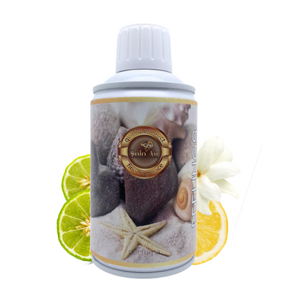 Аэрозольный аромат "Feelings" 250 мл