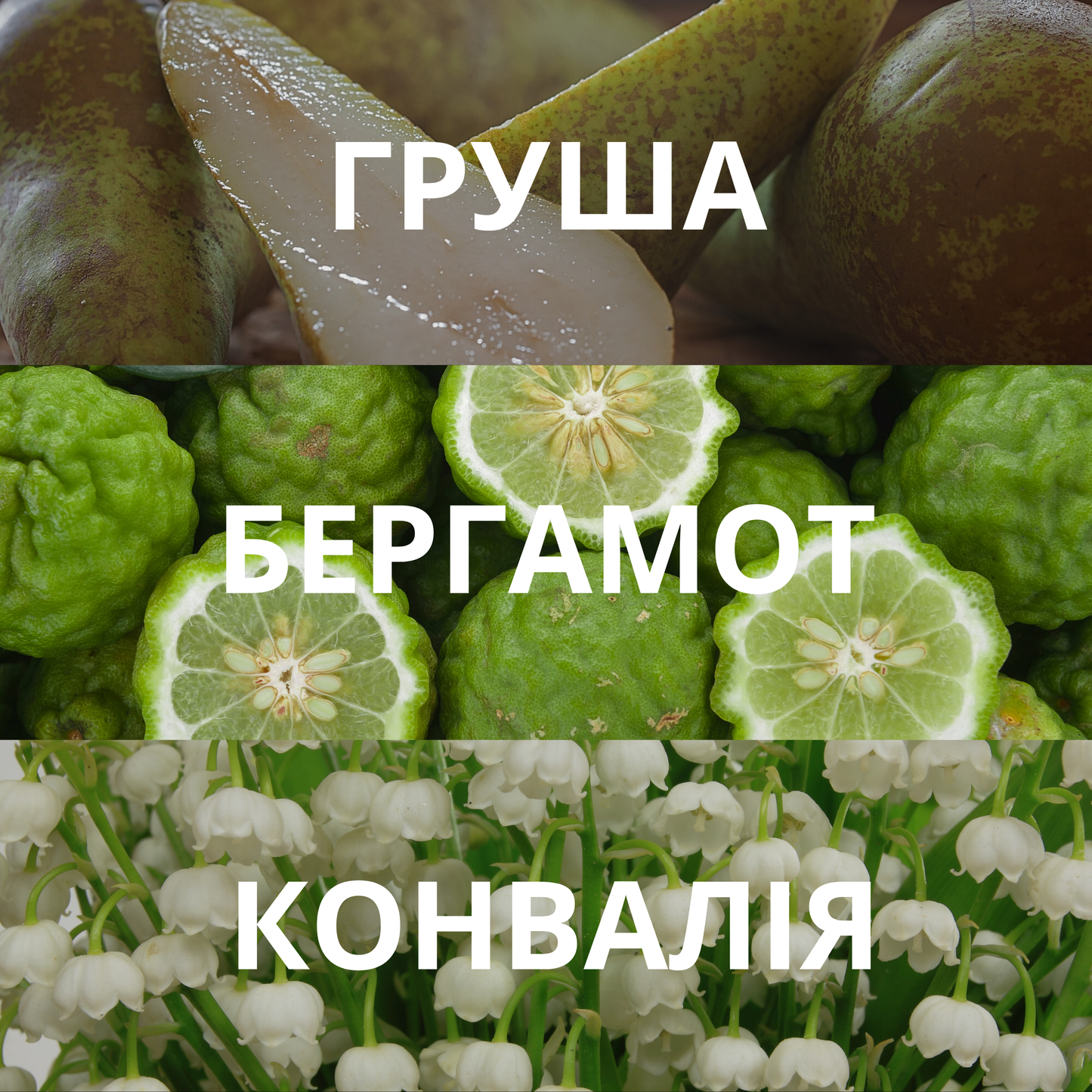 Аромадиффузор COCA COLA