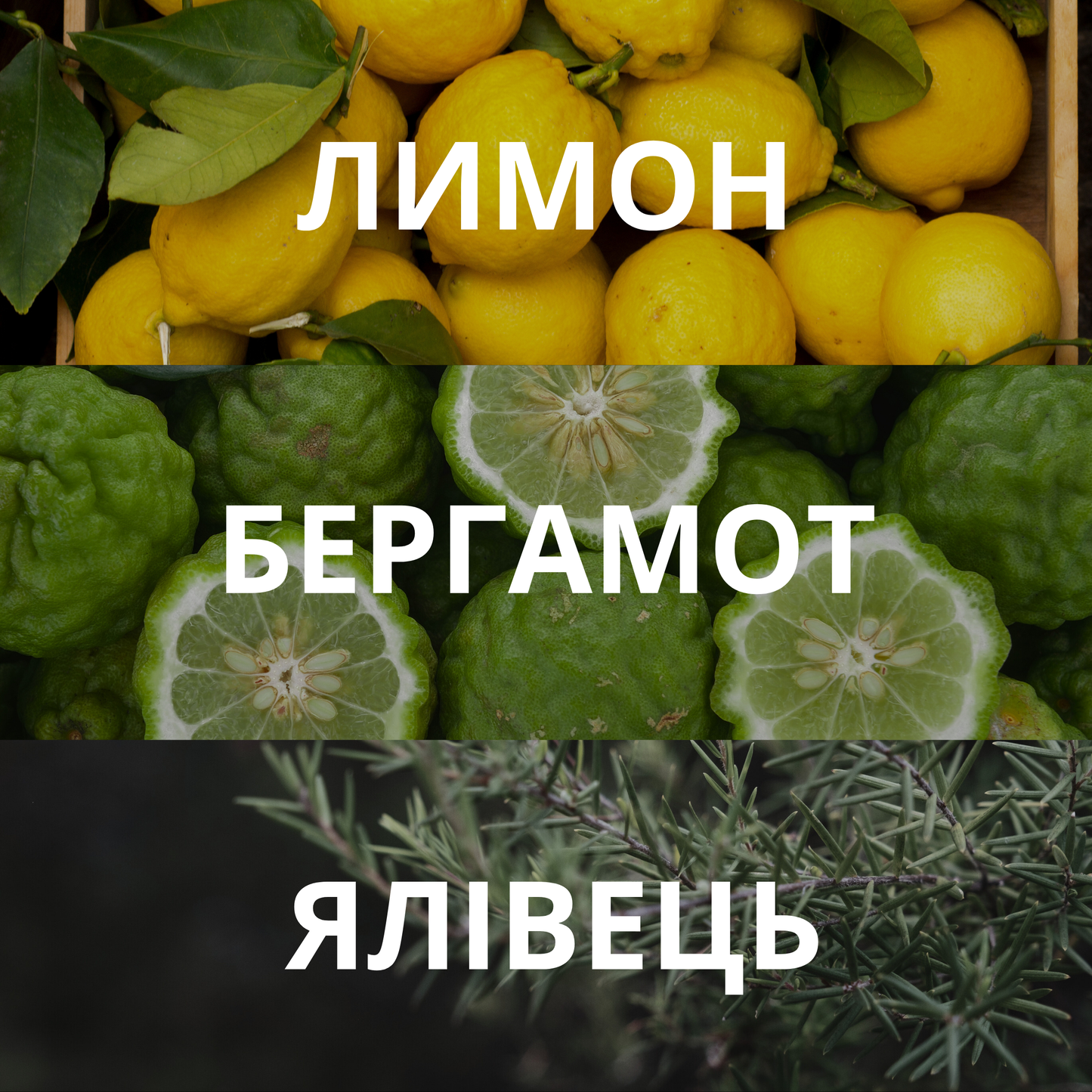 Аромадиффузор COCA COLA