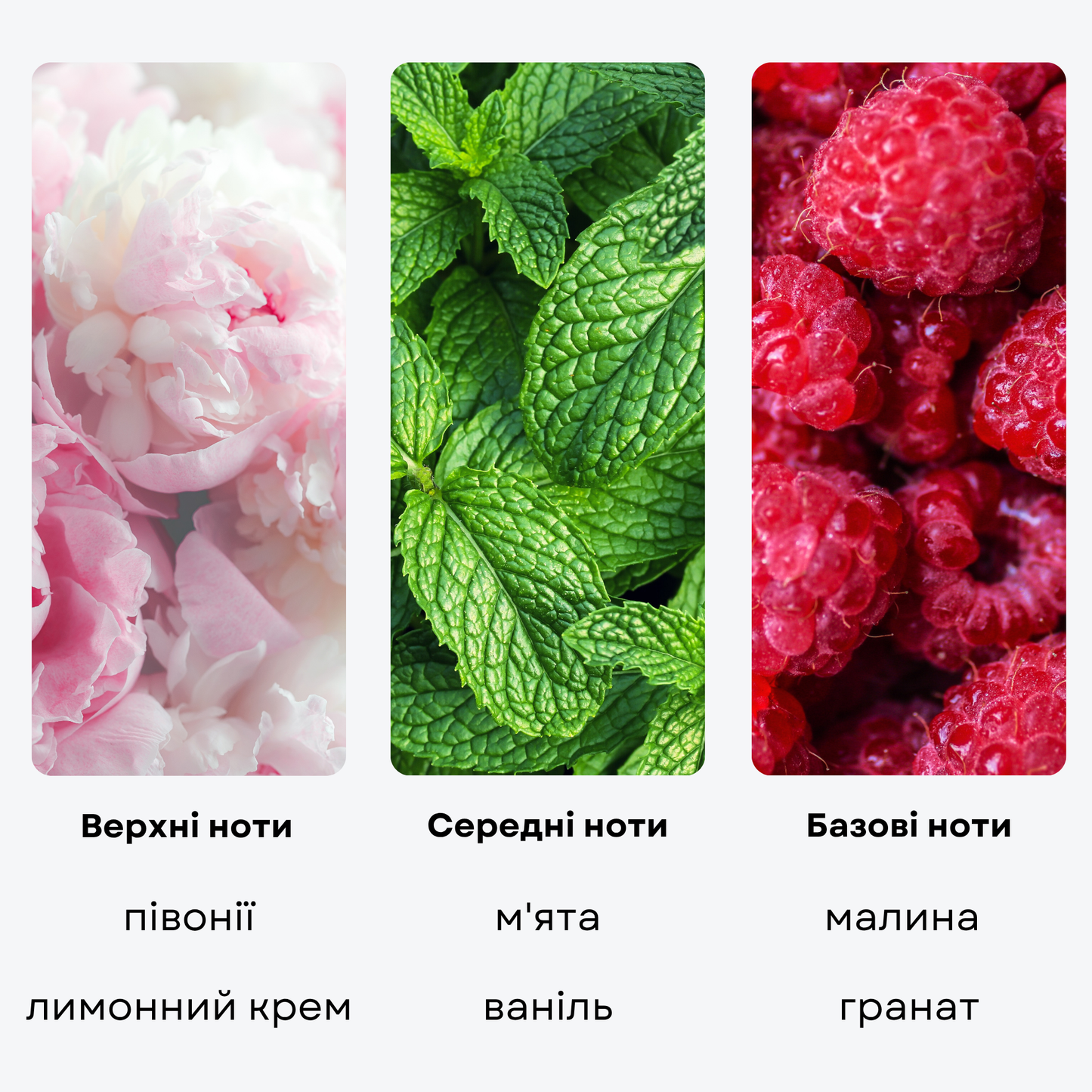 Ароматическая жидкость "ARIA", 50 мл