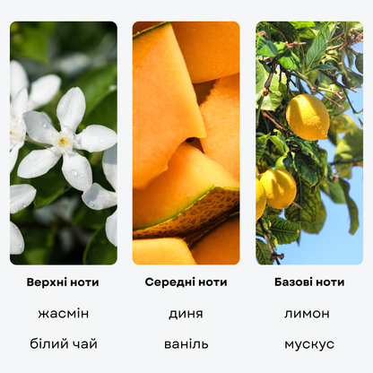 Ароматическая жидкость "LAS VEGAS", 50 мл