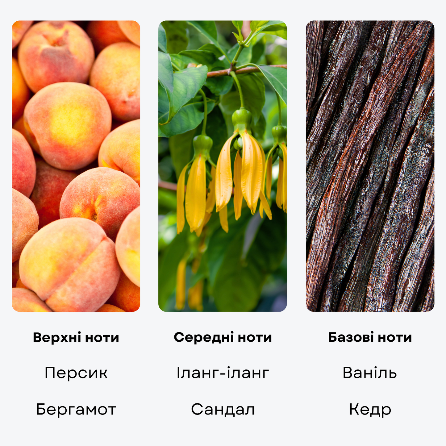 Ароматическая жидкость "MY WAY", 50 мл